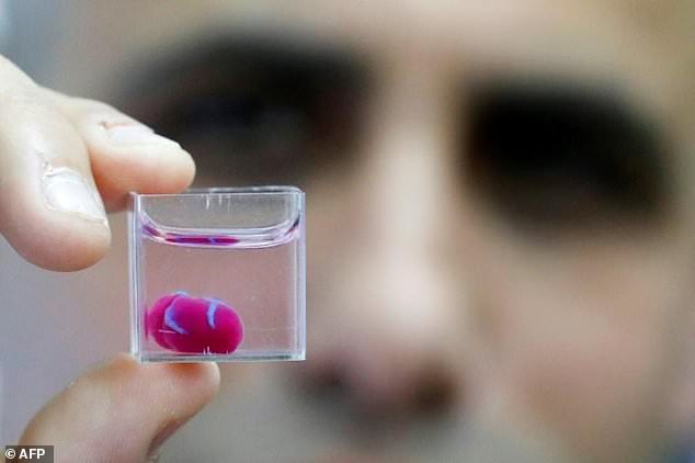 Scientists print the world's first 3D HEART: Cherry-sized organ comes complete with human tissue and blood vessels in a 'major medical breakthrough'