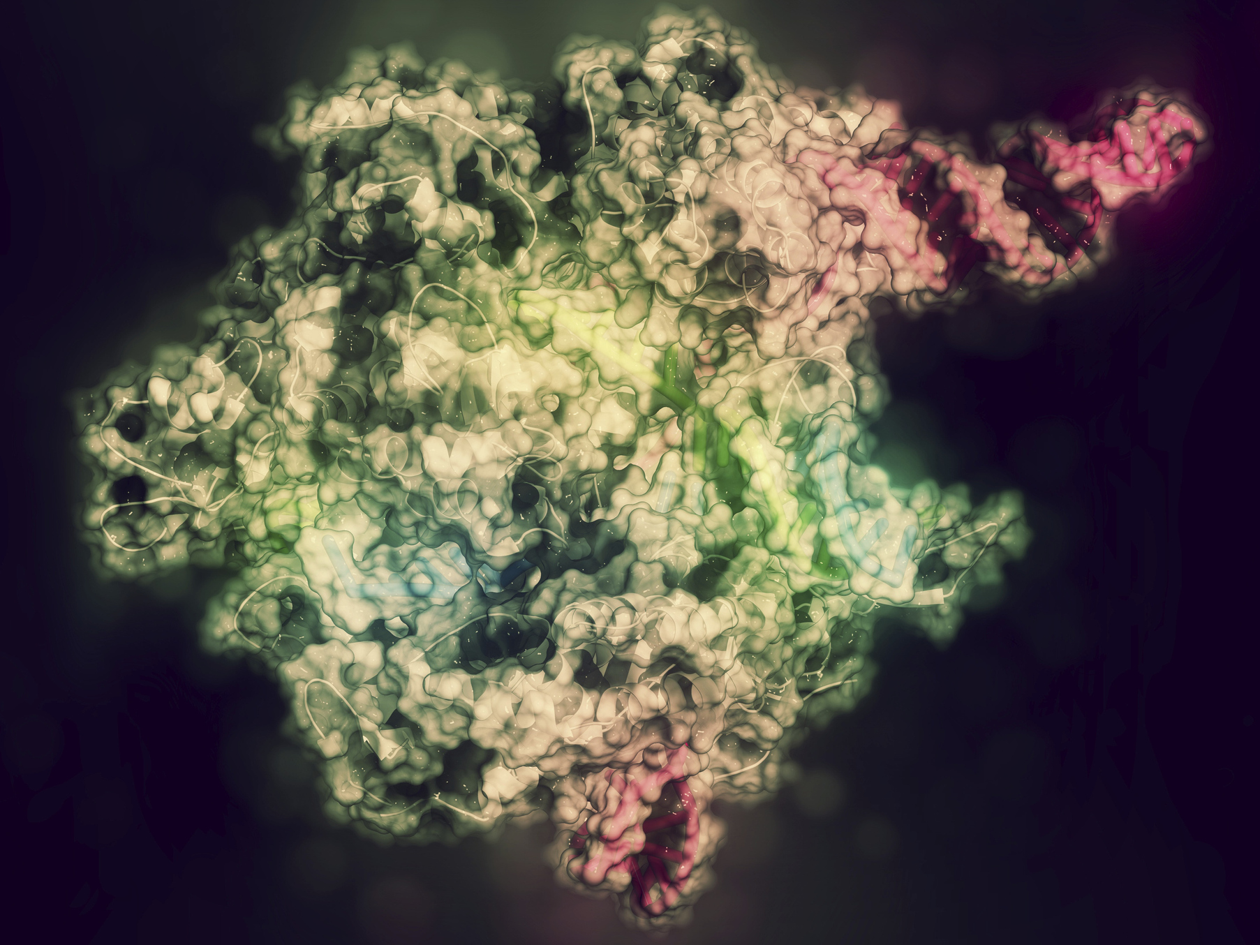 First U.S. Patients Treated With CRISPR As Human Gene-Editing Trials Get Underway