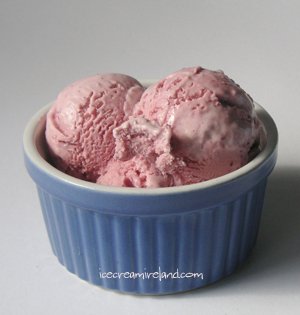 Blackberry and Apple Ice Cream – Ice Cream Ireland