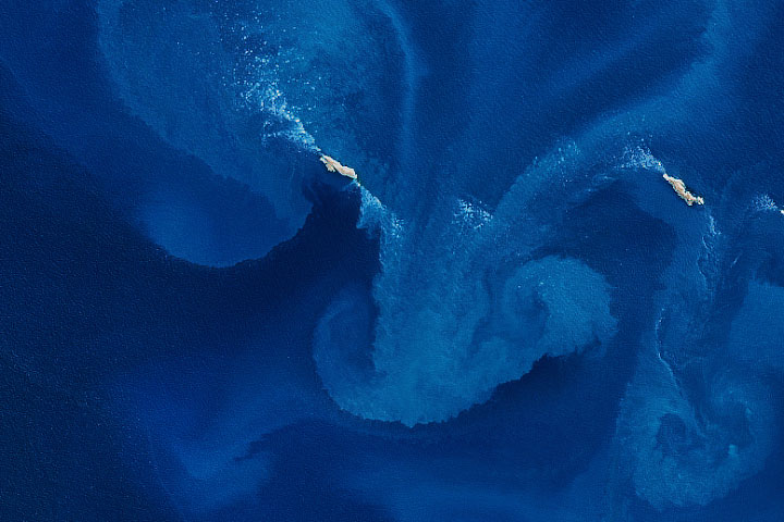 Jason and the Bloomonauts