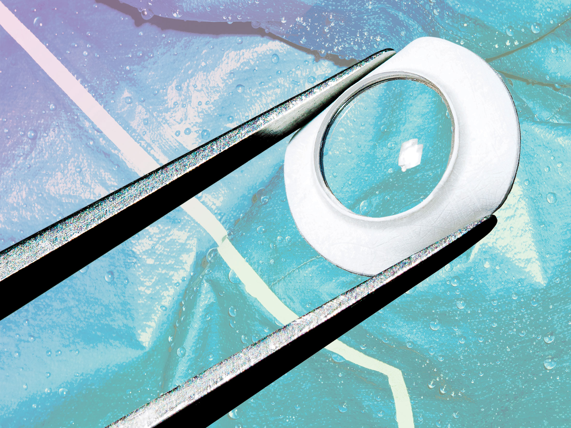 The Maker of Gore-Tex Is Experimenting With an Artificial Cornea