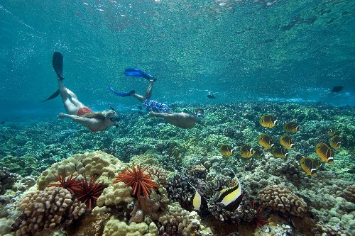 What sunscreens are best for you—and the planet?