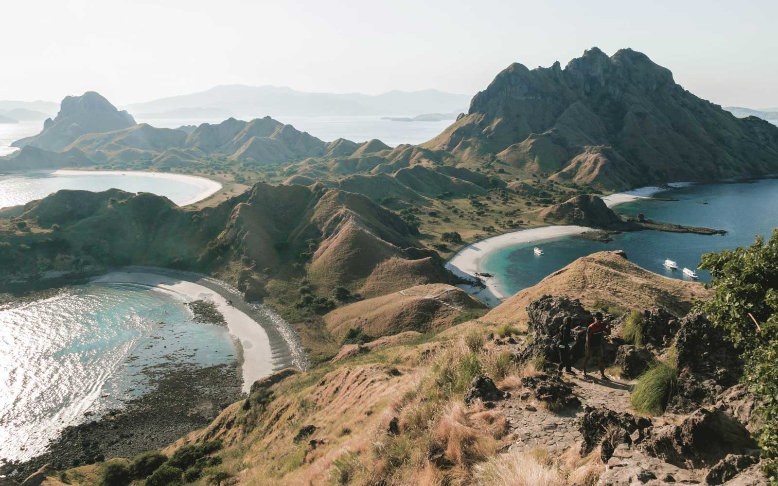 Komodo Island Is Closing to Tourists Because People Are Stealing Dragons